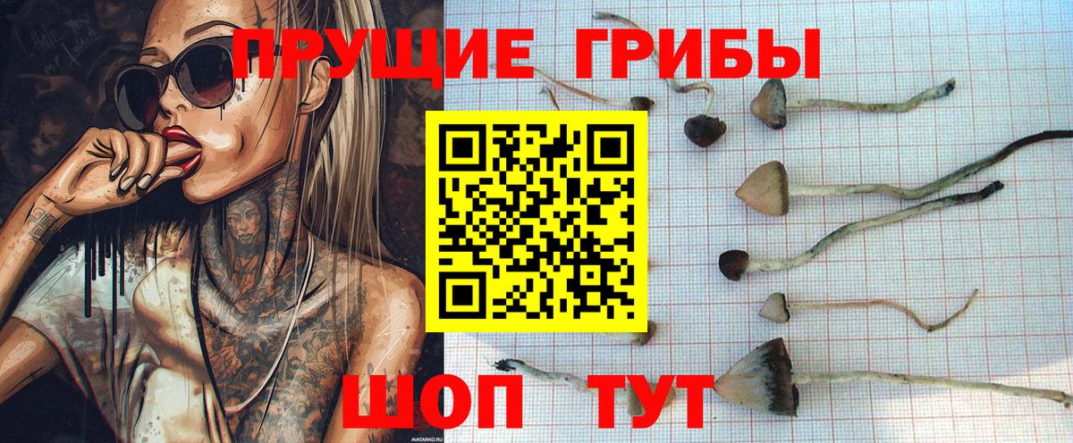 Галлюциногенные грибы мицелий  Вход с VPN  Псилоцибиновые грибы MAGIC MUSHROOMS  Россия 